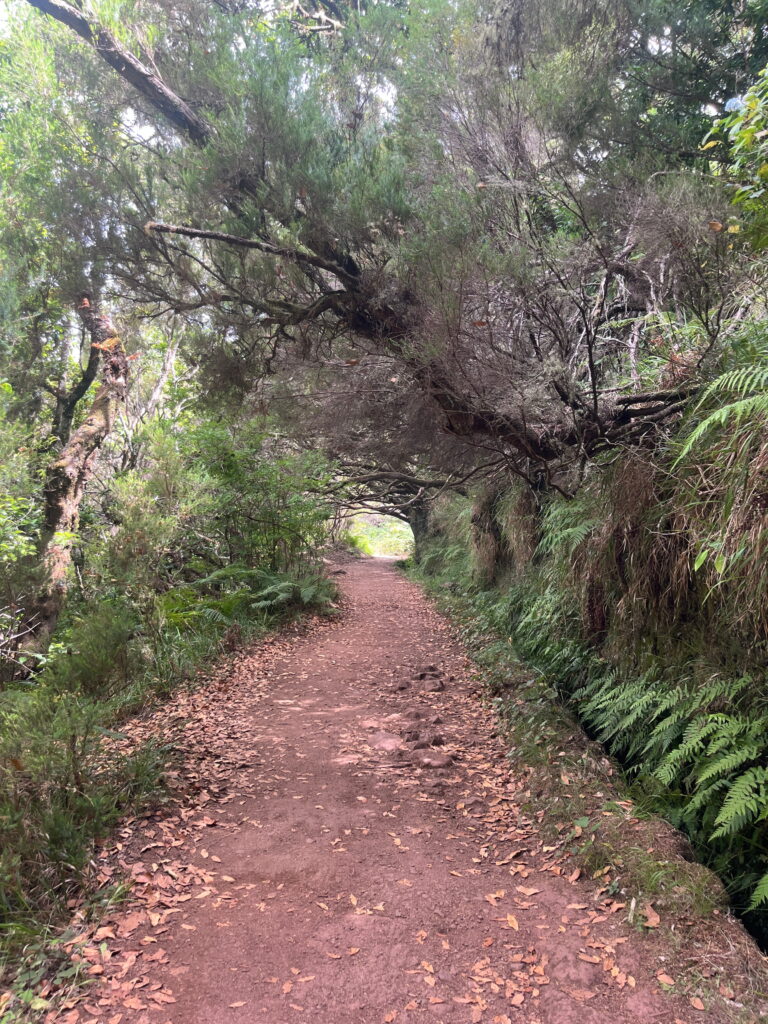 Madeira en Porto Santo groepstrektocht